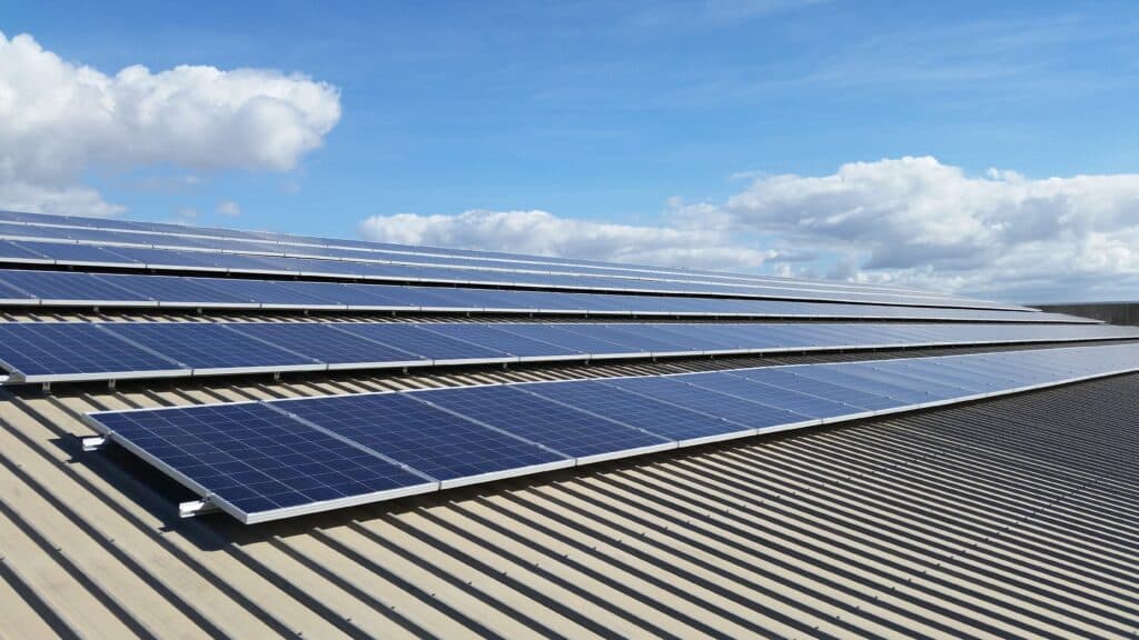 Close up image of solar panels on the roof of Zoo Health and Fitness 60kW